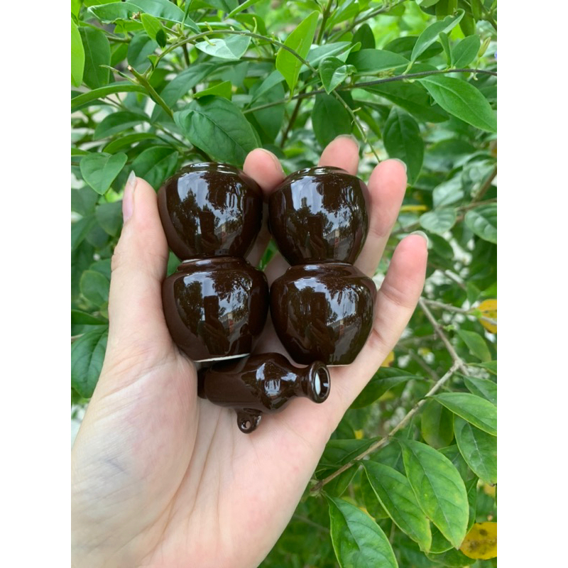 Cóng khuyên 1 màu