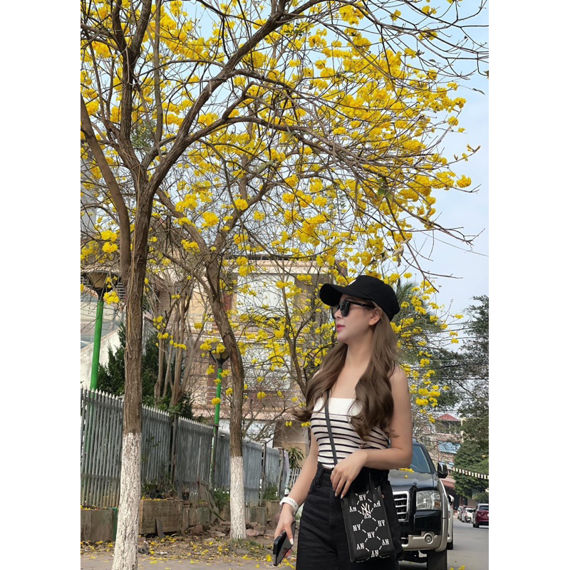 TÚI CHÉO PHONE BAG MLB CHÍNH HÃNG