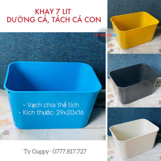 Khay nuôi cá 7 lít thích hợp dưỡng cá, nuôi cá con, ép cá giống sinh sản.