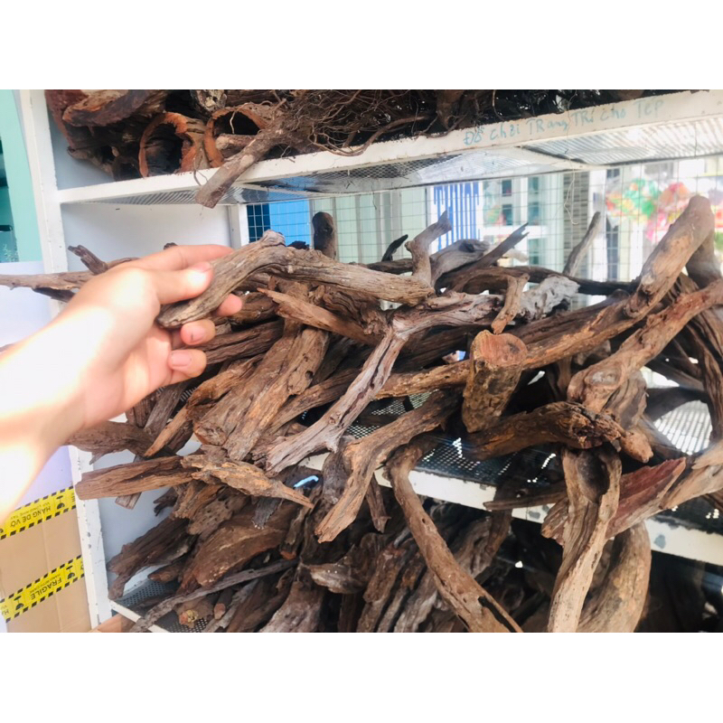 Lũa san đá cành | lũa thủy sinh dùng để thiết kế bố cục cho bể thủy sinh , size to dài 50-60cm