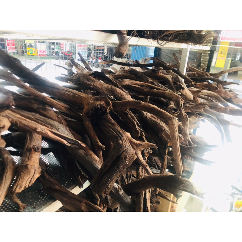 Lũa san đá cành | lũa thủy sinh dùng để thiết kế bố cục cho bể thủy sinh , size to dài 50-60cm