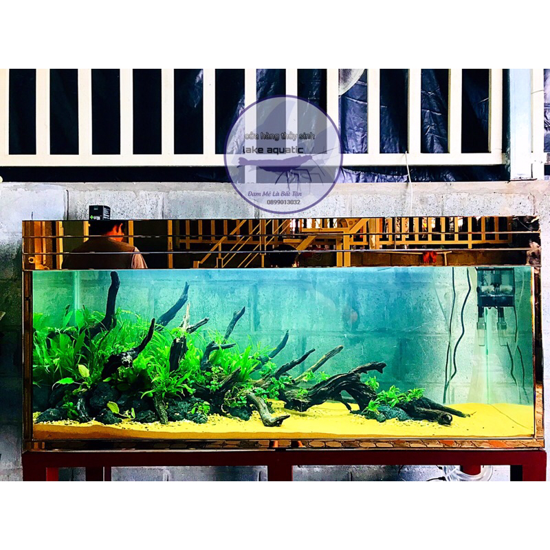 Lũa san đá cành | lũa thủy sinh dùng để thiết kế bố cục cho bể thủy sinh , size to dài 50-60cm