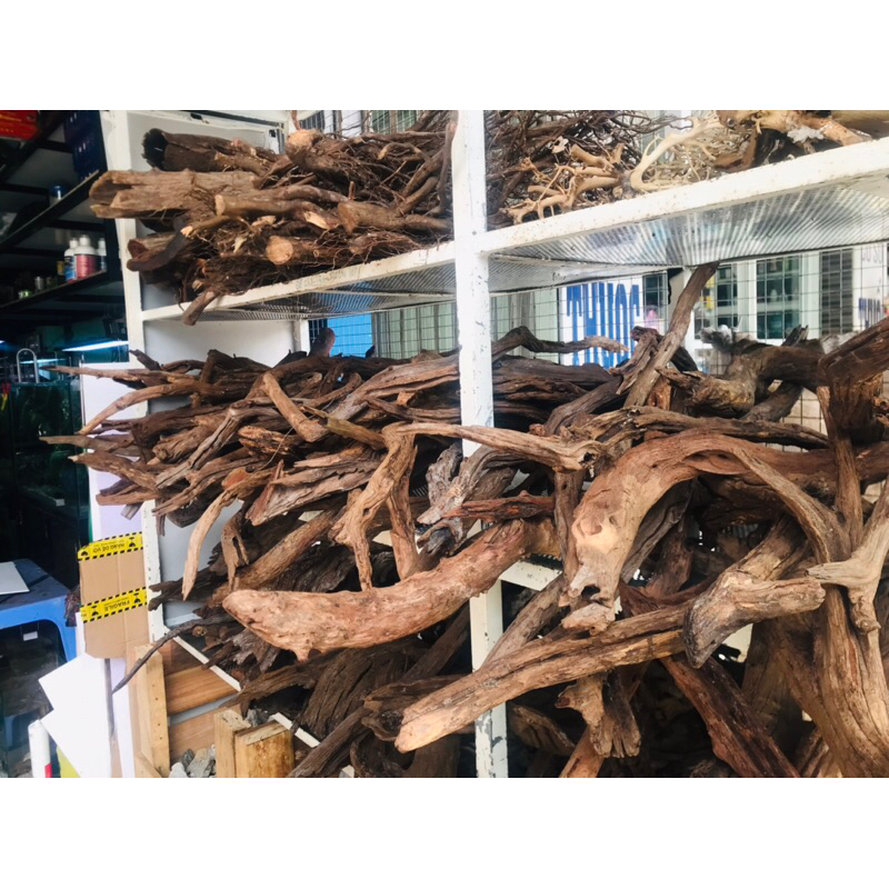 Lũa san đá cành | lũa thủy sinh dùng để thiết kế bố cục cho bể thủy sinh , size to dài 50-60cm