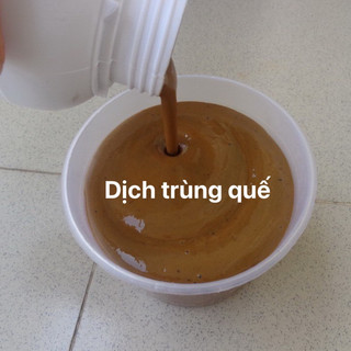Dịch trùng quế đậm đặc cho lươn, cá, ếch, baba chai 1 lít