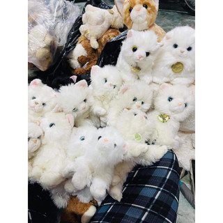 Gấu bông mèo giống thật