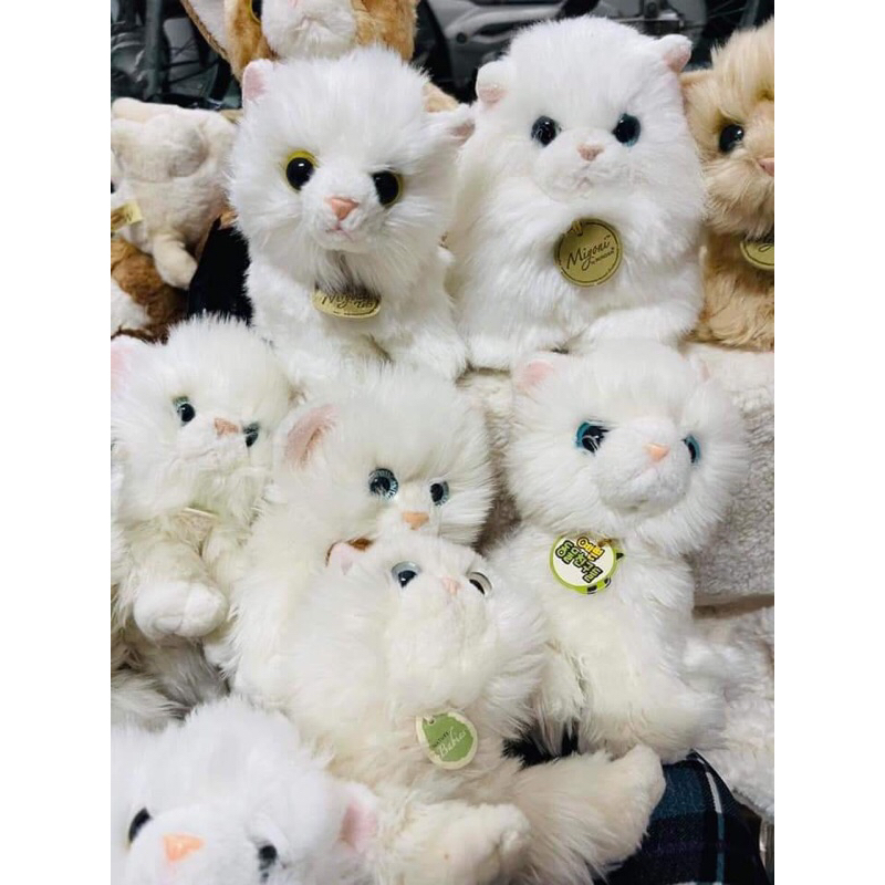 Gấu bông mèo giống thật