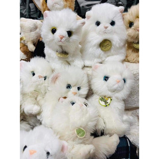 Gấu bông mèo giống thật