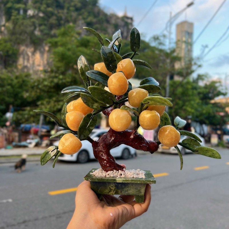 Cây đào đá ngọc hoàng long 12 quả chậu chữ nhật