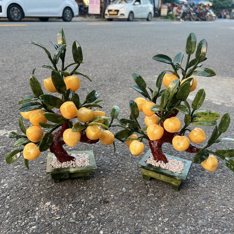 Cây đào đá ngọc hoàng long 12 quả chậu chữ nhật