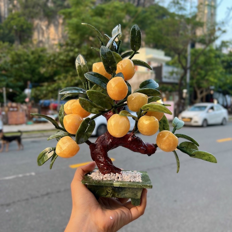 Cây đào đá ngọc hoàng long 12 quả chậu chữ nhật