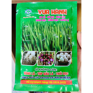 Vua hành - Cứng dọc, đứng lá, ngăn ngừa vàng lá, tóp đầu lá
