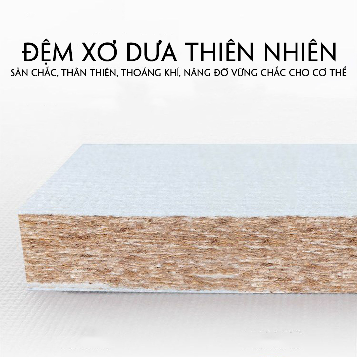 Sofa Giường Thông Minh Tay Gỗ Sang Trọng, Giường Sofa Gấp Gọn Nhập Khẩu Cao Cấp