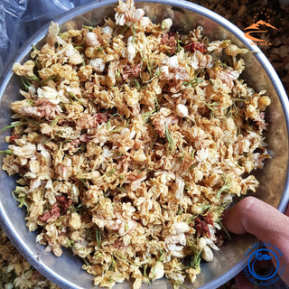 Trà hoa nhài khô sấy lạnh loại 1 thượng hạng 1kg. Hoa nhài ta pha trà chanh, trà tắc, trà sữa