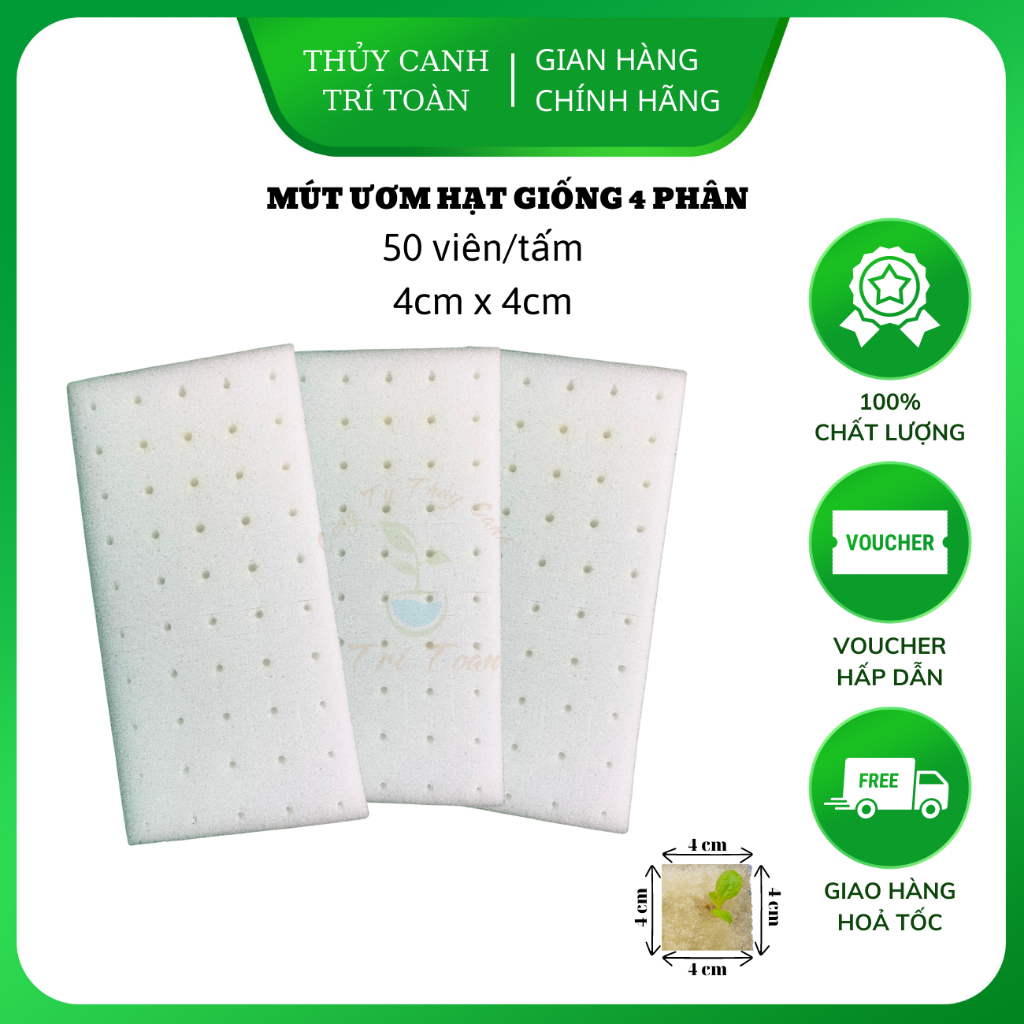 Mút ươm hạt giống trồng cây cao cấp gồm 50 viên kích thước 4x4cm