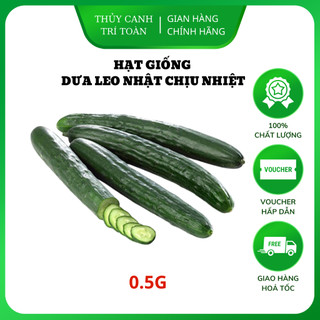  Hạt giống Dưa Leo Nhật chịu nhiệt trái dài giòn ngọt trồng quanh năm  gói 0,5 gr  - Hạt giống Rạng Đông 
