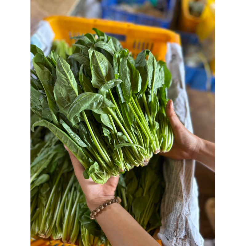 Rau bó xôi (chân vịt/bina)