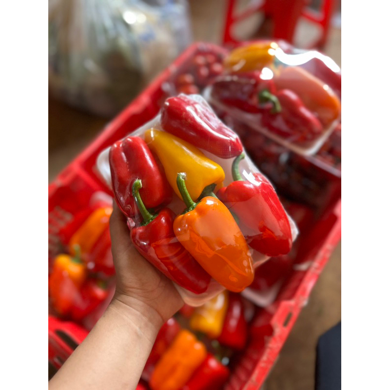 Ớt baby Đà Lạt