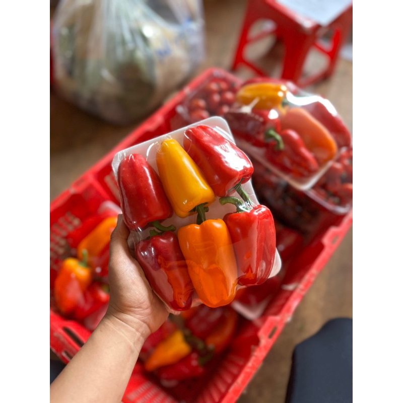 Ớt baby Đà Lạt