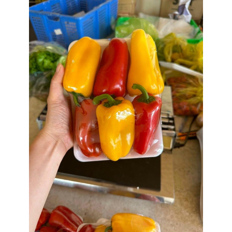 Ớt baby Đà Lạt