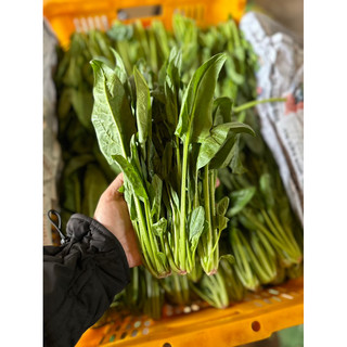 Rau bó xôi (chân vịt/bina)