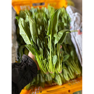 Rau bó xôi (chân vịt/bina)