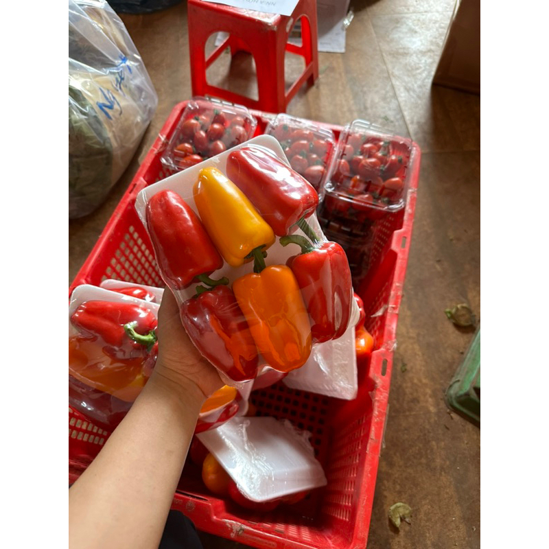 Ớt baby Đà Lạt