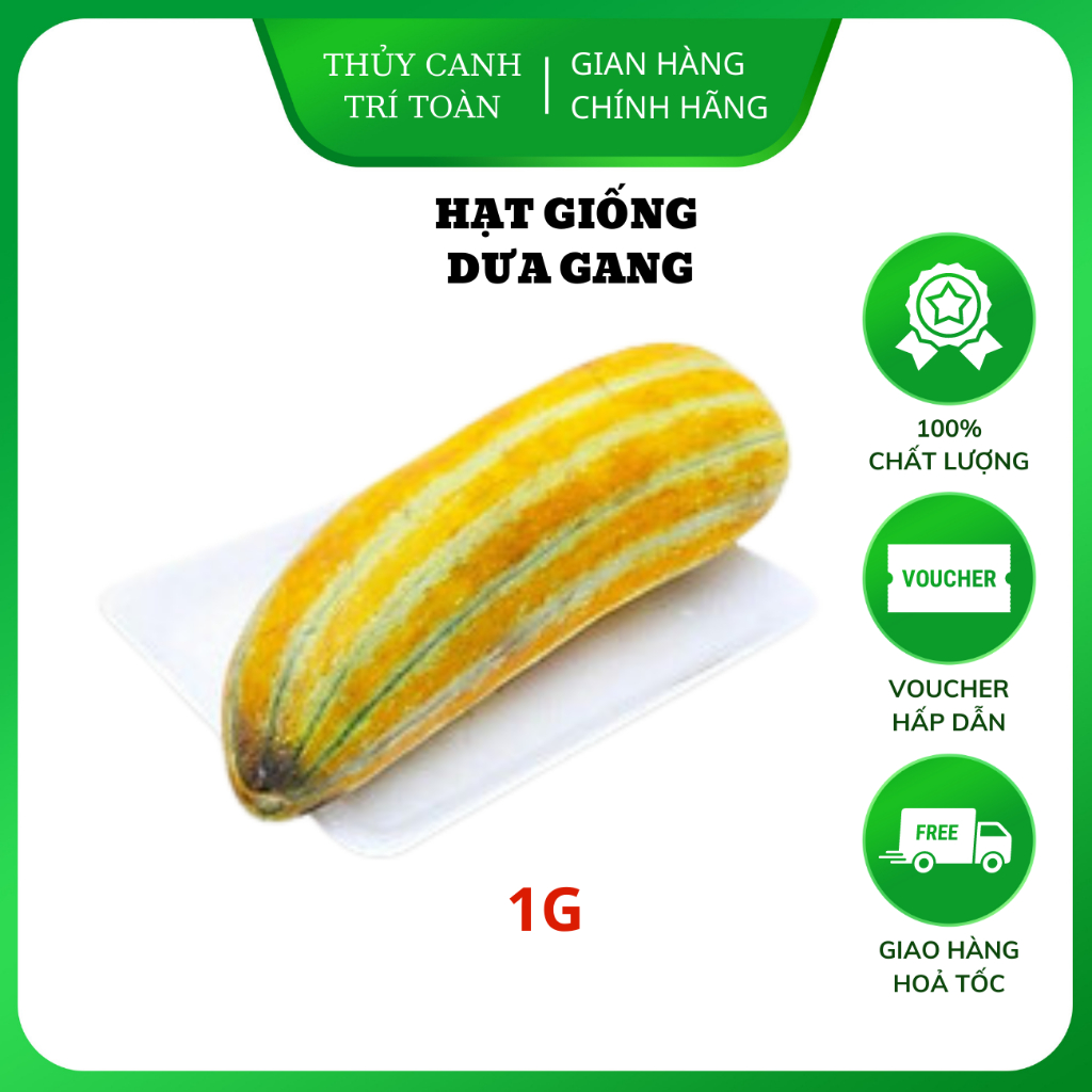 Hạt giống Dưa Gang trái dài, thơm, ngon, trồng quanh năm (gói 1 gr) - Hạt giống Rạng Đông