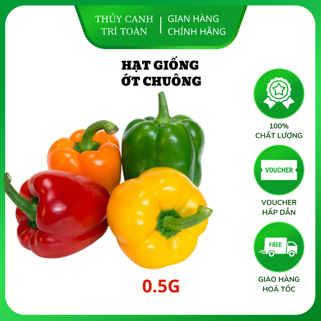 Hạt giống Ớt Chuông Ngọt, trái sai, trồng quanh năm - Hạt giống Rạng Đông