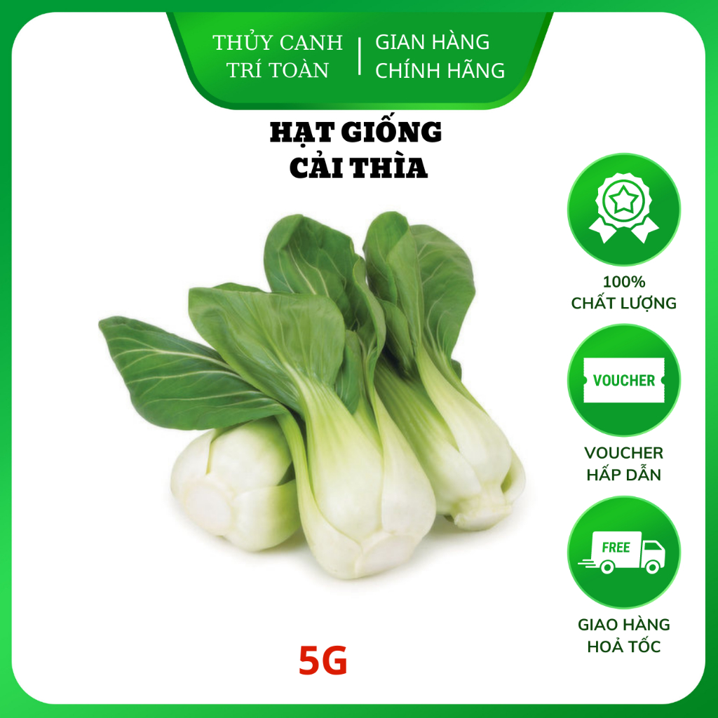 Hạt giống Cải Thìa Cọng Xanh (Cải Chip) chịu nhiệt tốt, dễ trồng (gói 5 gr) - Hạt giống Rạng Đông