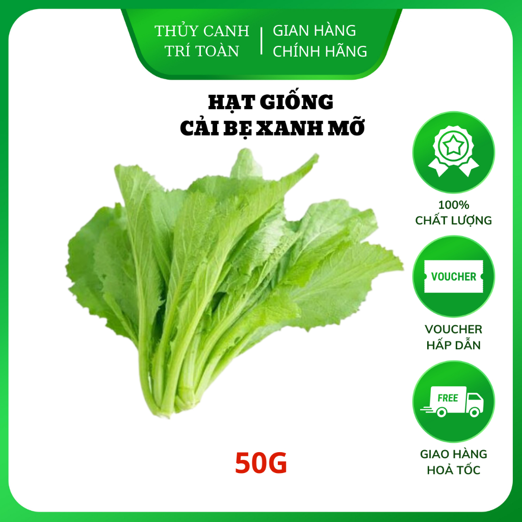 Hạt giống Cải Bẹ Xanh Mỡ (Cải Cay) chịu nhiệt, dễ nảy mầm, trồng quanh năm (gói 50 gr) - Hạt giống Rạng Đông