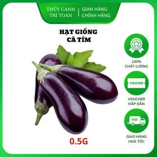 Hạt giống Cà Tím quả dài, chịu nhiệt tốt, trồng quanh năm - Hạt giống Rạng Đông
