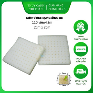 Bộ 10 Tấm Mút Ươm Hạt Giống Trồng Rau Thủy Canh 110 Viên