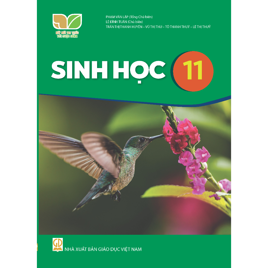 Sách giáo khoa Sinh học 11 - Kết nối tri thức với cuộc sống