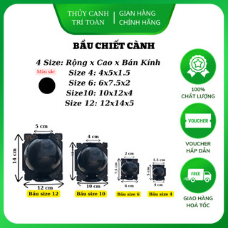 Bầu nhựa chiết cành, ươm cây thông minh đủ size 4cm, 6cm, 10cm, 12cm