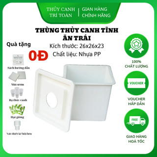 Thùng nhựa, chậu nhựa thủy canh Trí Toàn kết hợp thủy canh tĩnh và thủy canh hồi lưu trồng cây ăn trái