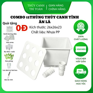   Combo 12 thùng  Thùng nhựa chậu nhựa trồng rau thủy canh tĩnh 9 lỗ 