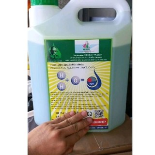 Bồ Đề cal 5 lít. xử lí mối trường ao nuôi tôm
