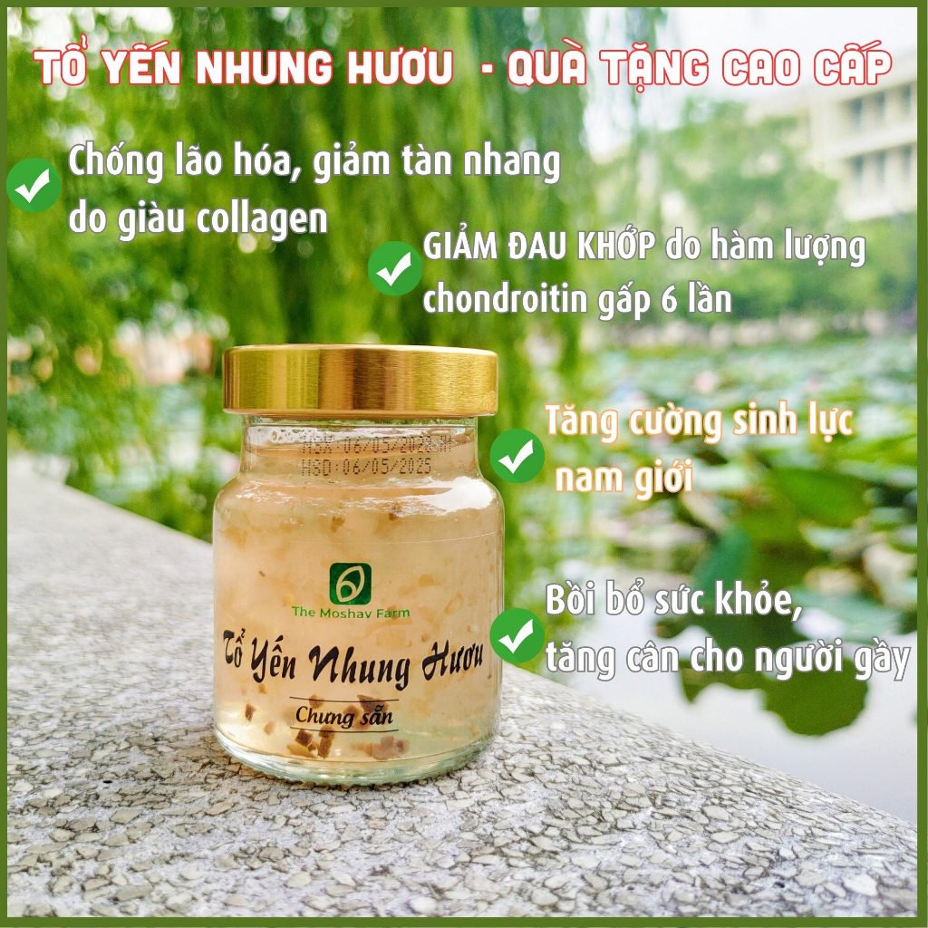 Combo 6 hũ Tổ Yến Nhung Hươu, Yến Chưng Đường Phèn Anbinest Thơm Ngon Bồi