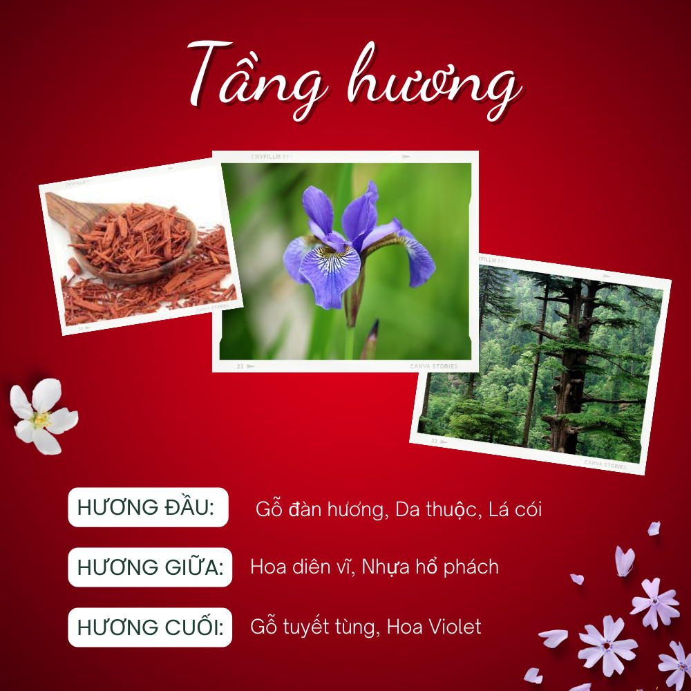 Nước Hoa Nam Nữ Le Labo Santal 33. Nước Hoa chiết 10ml Hương thơm của gỗ đàn hương nhẹ nhàng và lôi cuốn