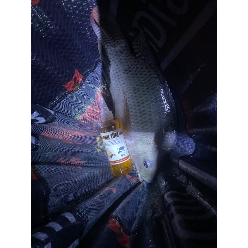 Tinh Tôm câu cá - Chuyên Rô Phi, Diêu Hồng