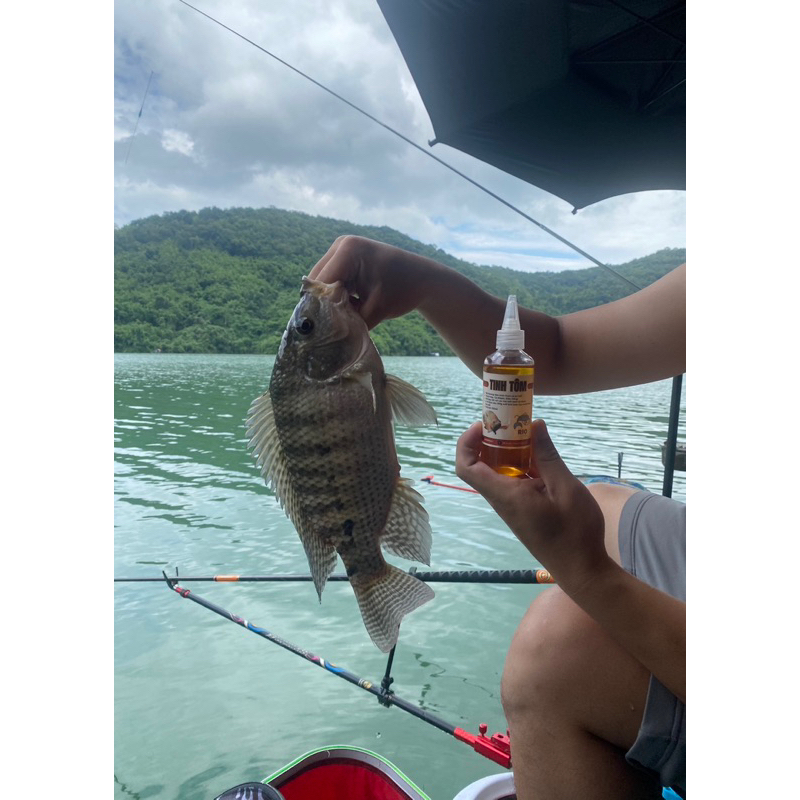 Tinh Tôm câu cá - Chuyên Rô Phi, Diêu Hồng