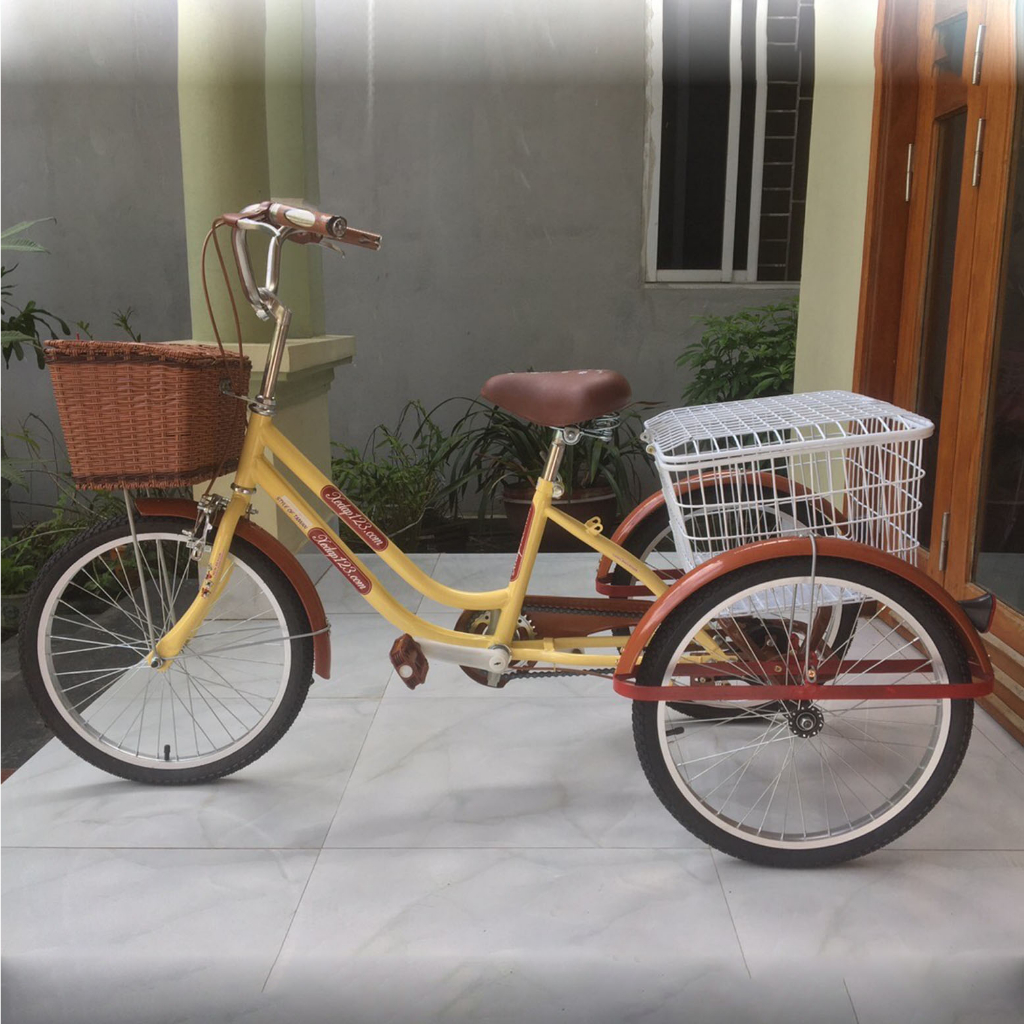 Xe đạp ba bánh cho người già XD123-2