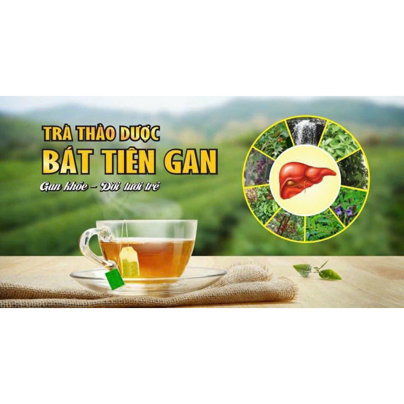 TRÀ BÁT TIÊN GAN