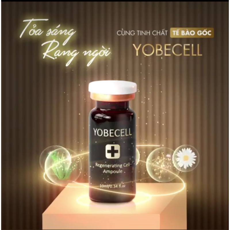 Tế bào gốc Yobecell