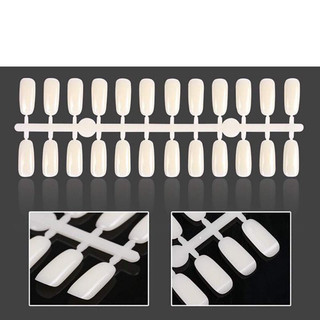Móng bẻ cài sổ mẫu (120 móng ) và 48 móng, móng tập vẽ nail