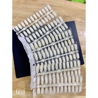Móng bẻ cài sổ mẫu (120 móng ) và 48 móng, móng tập vẽ nail