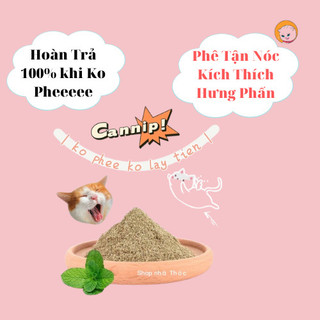 CỎ MÈO CATNIP CỎ BẠC HÀ CHO MÈO