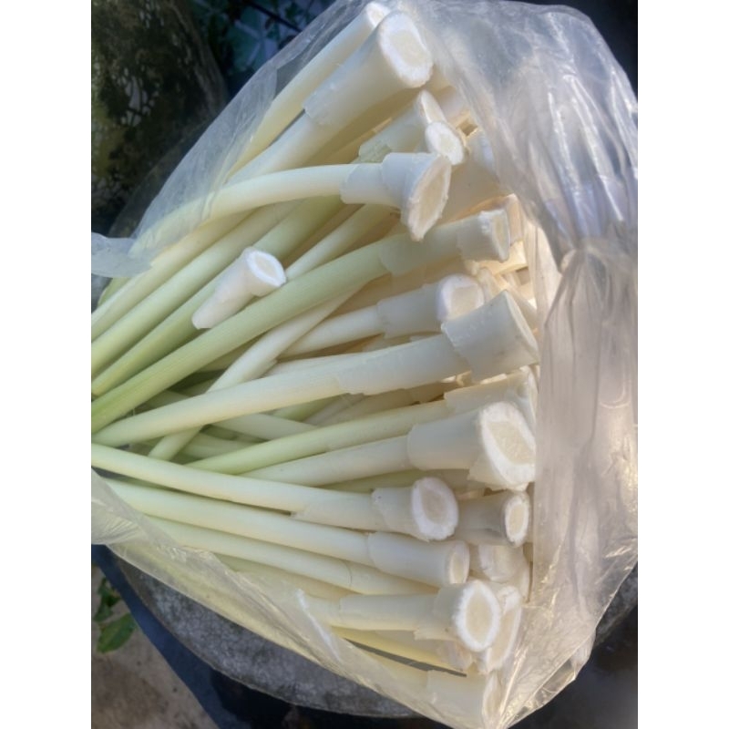 Bồn bồn tươi 1kg