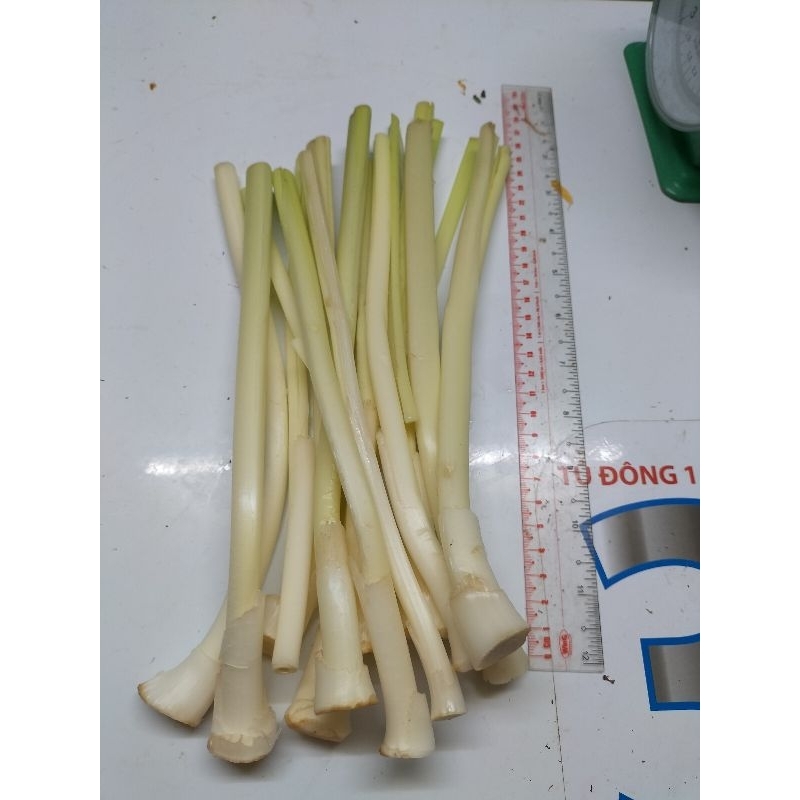 Bồn bồn tươi 1kg