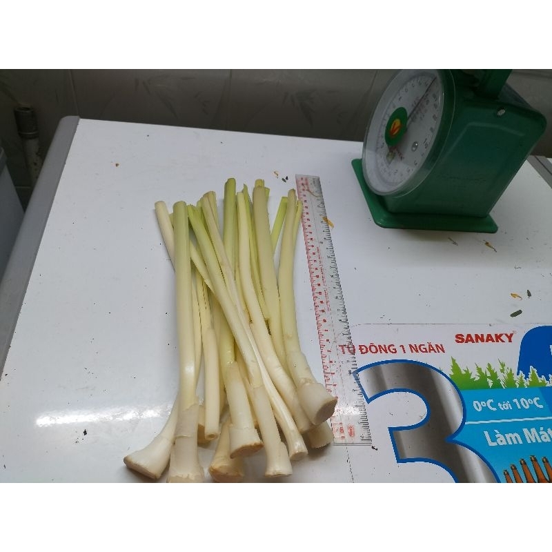 Bồn bồn tươi 1kg